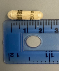 Saccharomyces cerevisiae