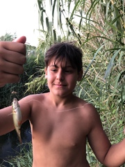 Sarmarutilus rubilio