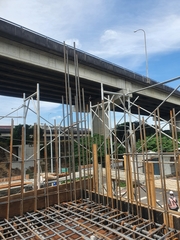 Acridotheres cristatellus formosanus