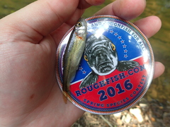 Clinostomus funduloides