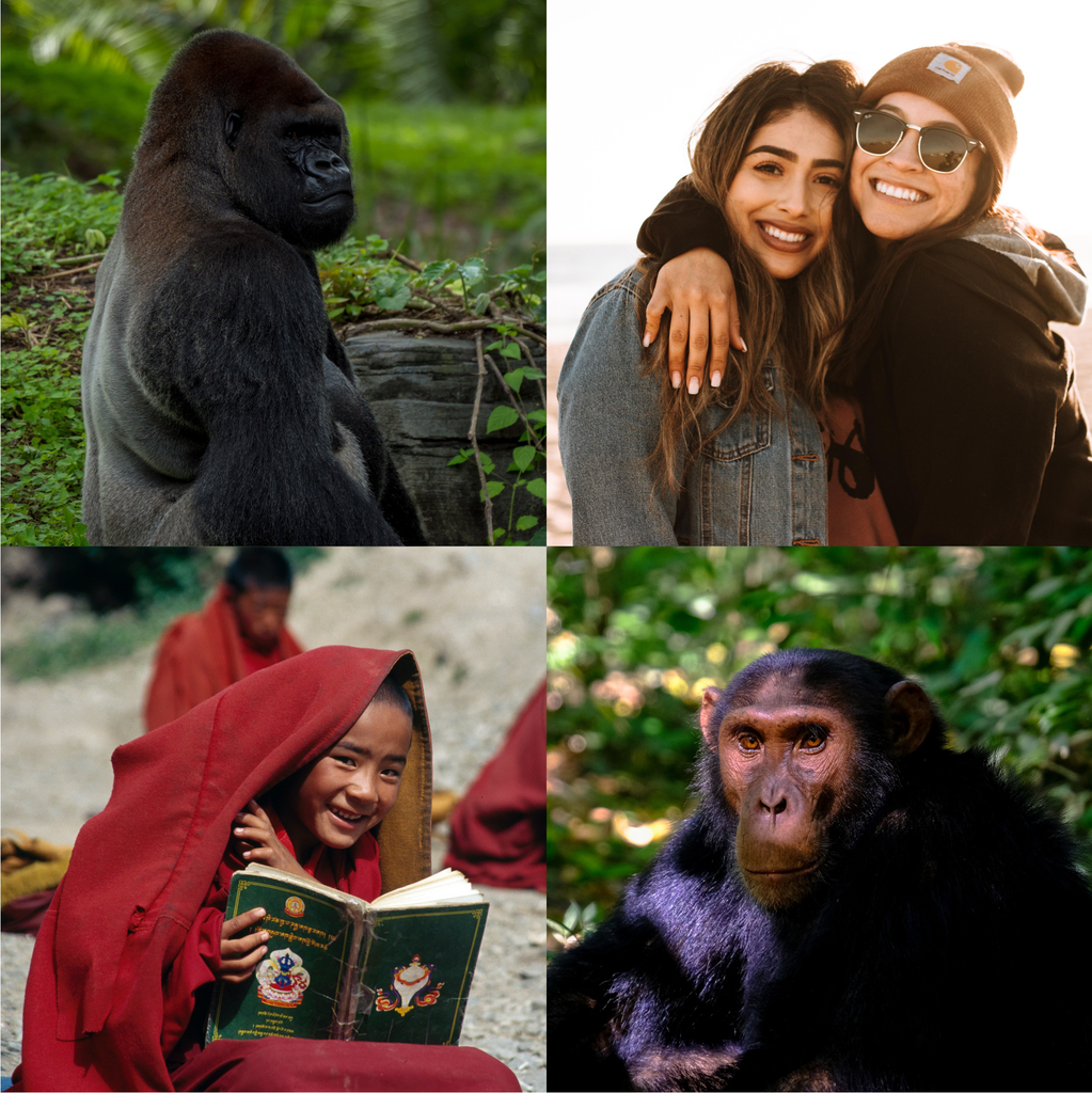 African Hominids