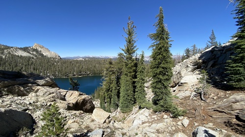 Dogtooth Trail