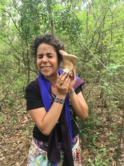 Boletus quercophilus