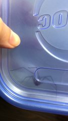 Loxosceles rufescens