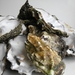 Pacific Oyster - Photo (c) Robin, some rights reserved (CC BY-SA)