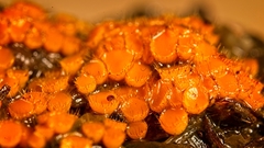Cheilymenia raripila