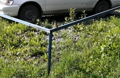 Phoenicurus phoenicurus