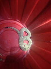 Crotalus cerastes laterorepens