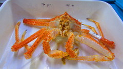 Lithodes santolla