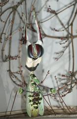 Idolomantis diabolica