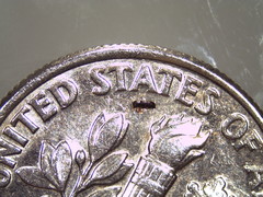 Hemicryphalus argutus