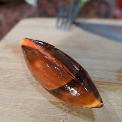 Pouteria sapota