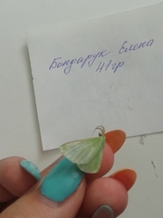 Thetidia smaragdaria