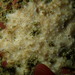 Scopalina nausicae - Photo (c) Tom Turner,  זכויות יוצרים חלקיות (CC BY-NC), הועלה על ידי Tom Turner