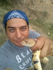 Pituophis catenifer sayi