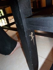 Hemidactylus platyurus