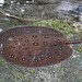 Peacock River Stingray - Photo (c) Brian Henderson, some rights reserved (CC BY-NC)