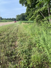 Lepomis macrochirus macrochirus