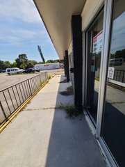 Tridax procumbens image