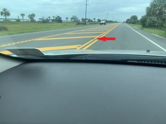 Malaclemys terrapin centrata