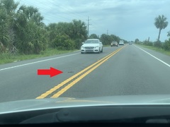 Malaclemys terrapin centrata