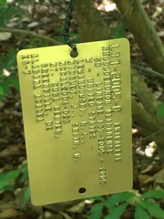 Rhododendron alabamense