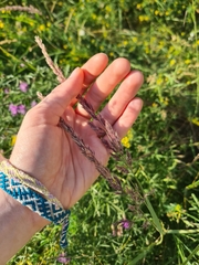 Calamagrostis epigejos