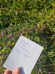 Calamagrostis epigejos