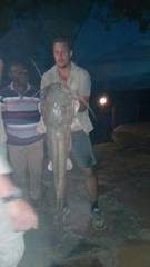 Heterobranchus longifilis