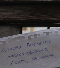 Agrotis exclamationis