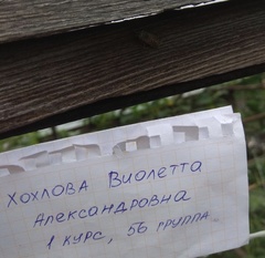 Agrotis exclamationis