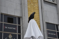 Corvus monedula