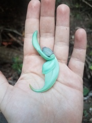 Strongylodon macrobotrys