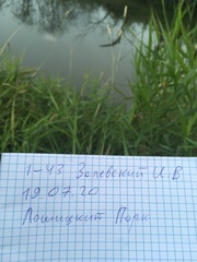 Calopteryx splendens