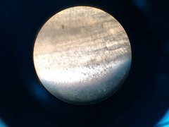 Gnathostoma binucleatum