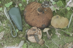 Tylopilus atronicotianus