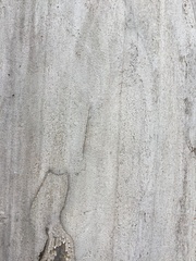 Libidibia paraguariensis