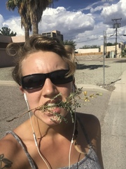 Hoffmannseggia glauca