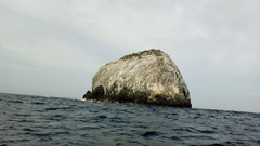 Stenocereus standleyi