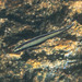Yellowstriped Dartfish - Photo (c) Fran Wiesner, some rights reserved (CC BY-NC-ND), uploaded by Fran Wiesner