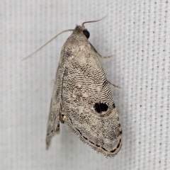 Abablemma brimleyana