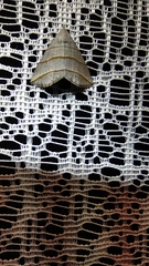 Colobochyla salicalis