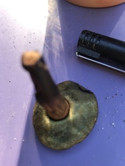 Tylopilus pseudoscaber