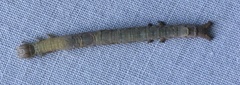 Catocala ultronia