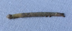 Catocala ultronia