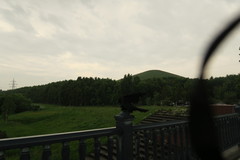 Corvus macrorhynchos