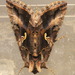 Autographa - Photo (c) portioid, some rights reserved (CC BY-SA), uploaded by portioid