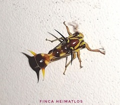 Heteronotus vespiformes