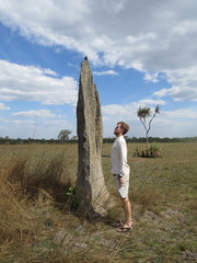 Amitermes meridionalis