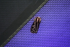 Apantesis williamsii